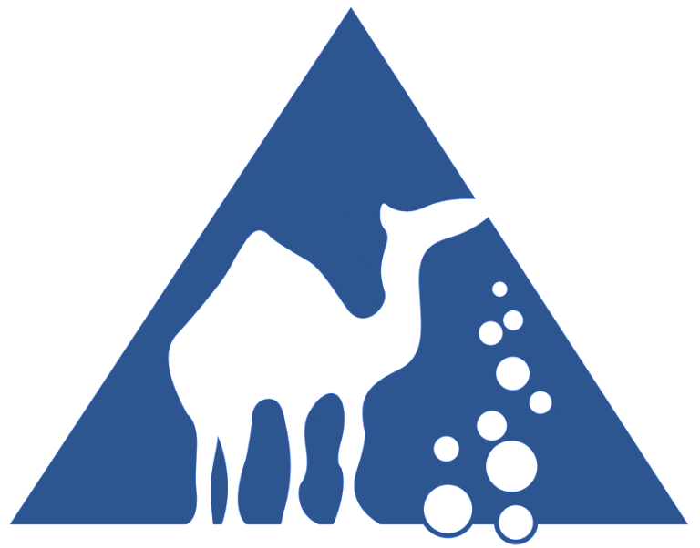 Camel Dive Club and Hotel